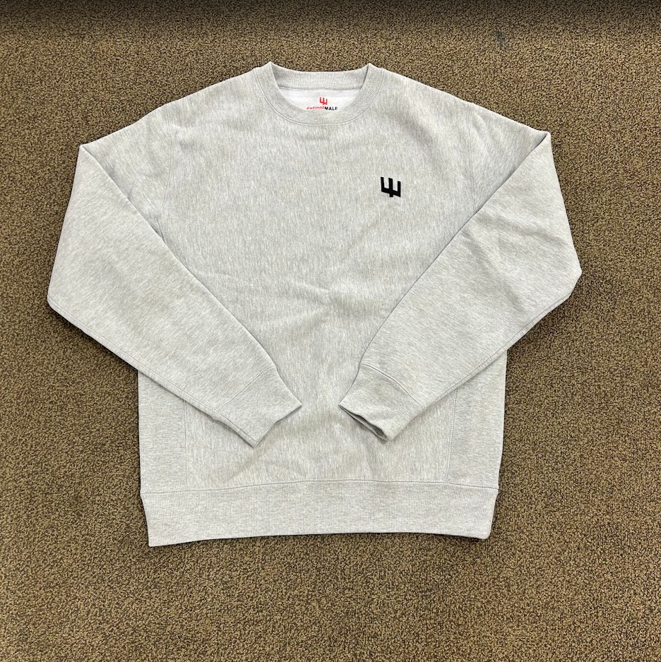 ExtinctMale Grey CrewNeck Sweater