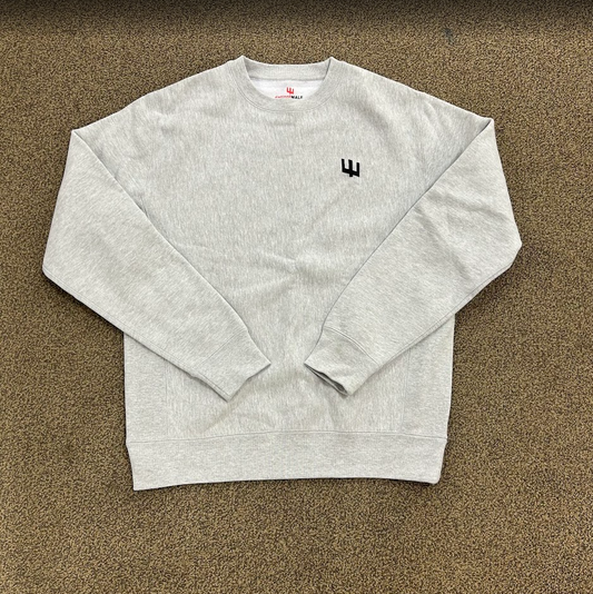 ExtinctMale Grey CrewNeck Sweater