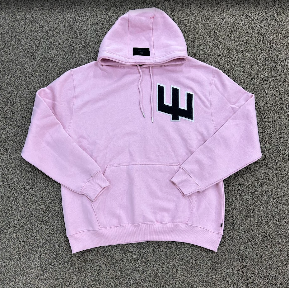 ExtinctMale Pink Chenille Logo Pullover