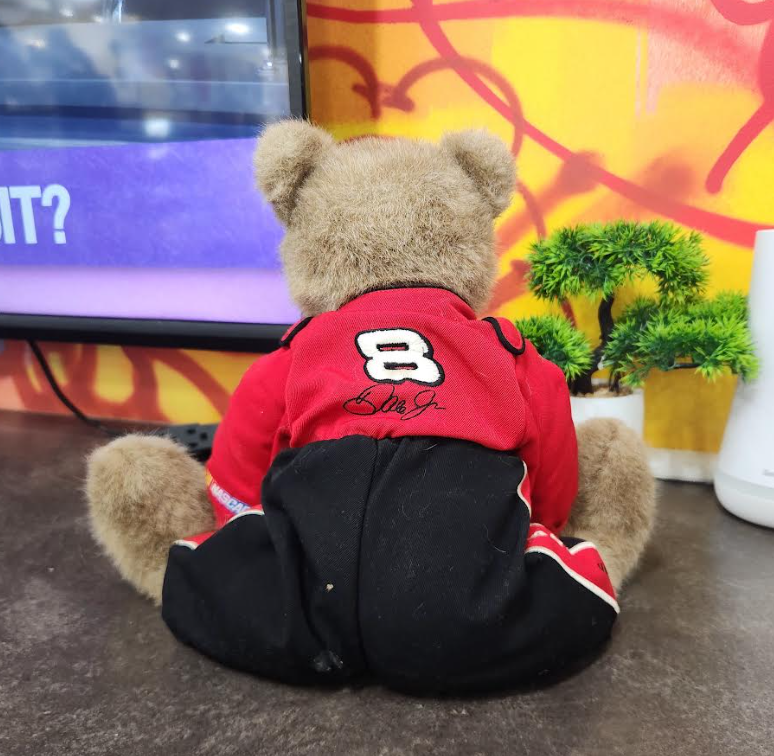 Boyds Dale Earnhardt Jr. #8 Weighted Teddy Bear