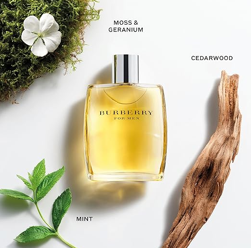 Burberry Classic Eau de Toilette - 3.3 FL OZ