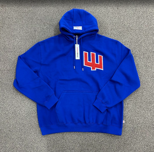 ExtinctMale Blue/Red  Chenille Logo Pullover