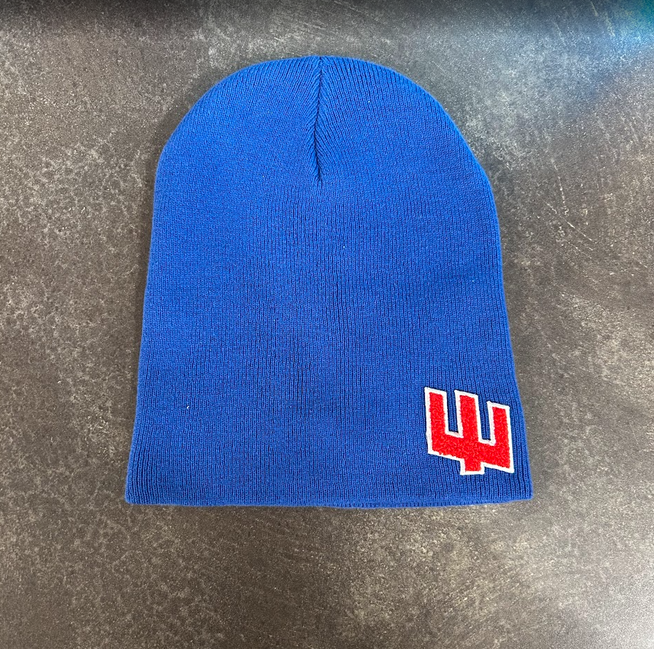 ExtinctMale Blue Skull Cap