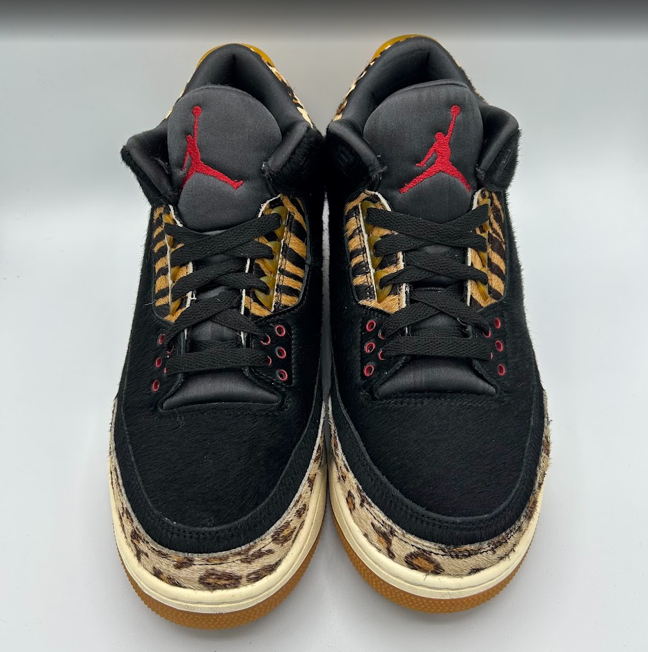 Jordan 3 Retro SE Animal Instinct